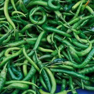 Green-Chilis.jpg Jire Khursani (Green Chili)