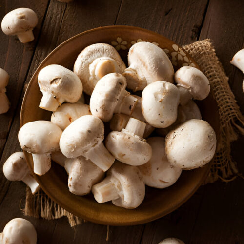 Dalle Chyau (Button Mushroom)