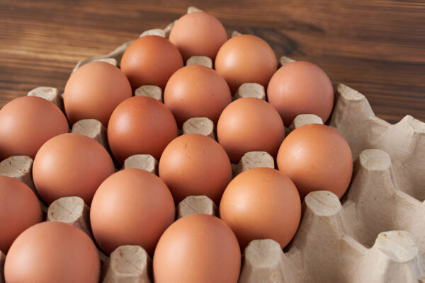 Chicken Egg – 1 Tray