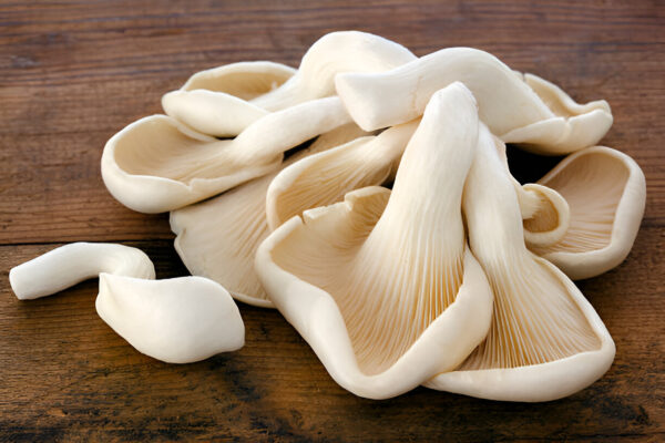 Oyster Mushroom Patte Chyau (Oyster Mushroom)