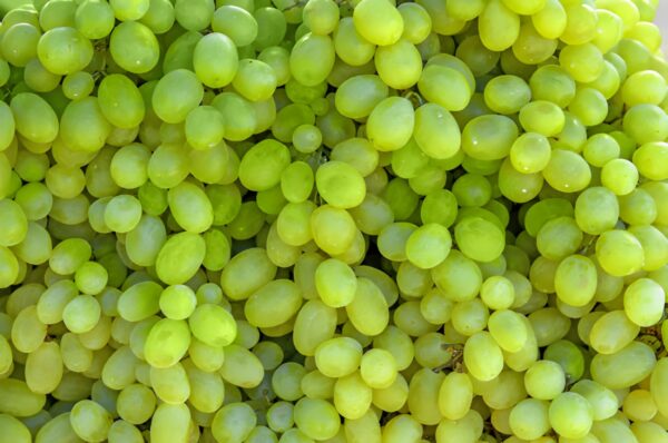Angur (Grapes) Angur (Grapes)