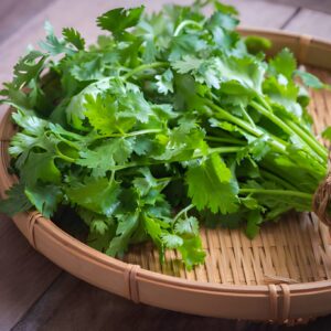 Dhaniya Patta (Coriander Leaves)