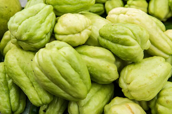 Iskus (Chayote)