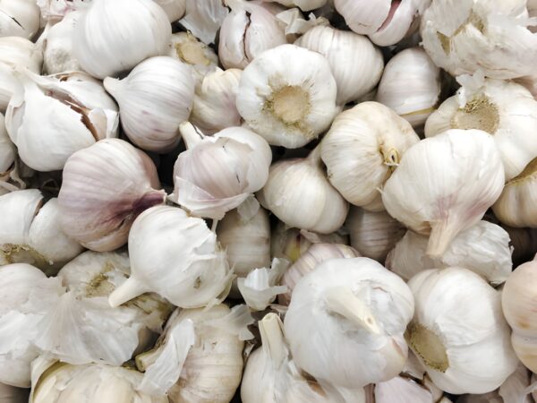 Lasun (Garlic)