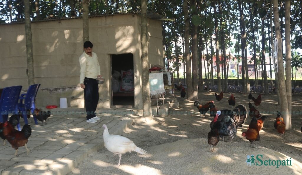 kamaljung thakuri3 1765384291