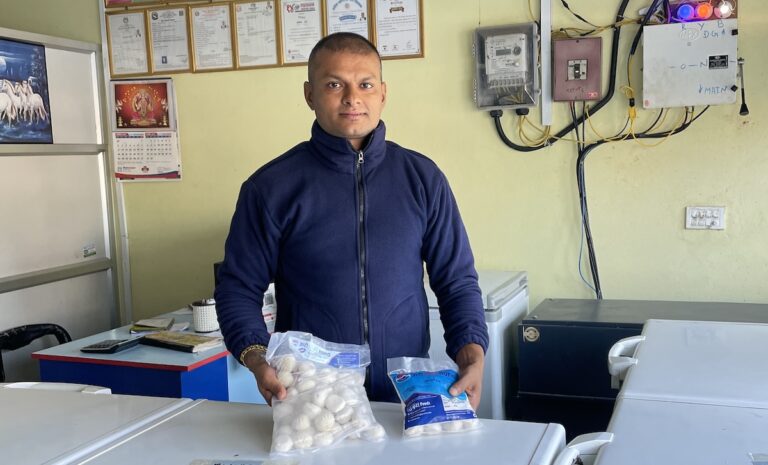 uri momo17 1765121983