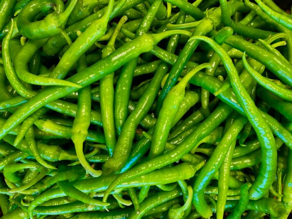 Jire Khursani (Green Chili) Jire Khursani (Green Chili)