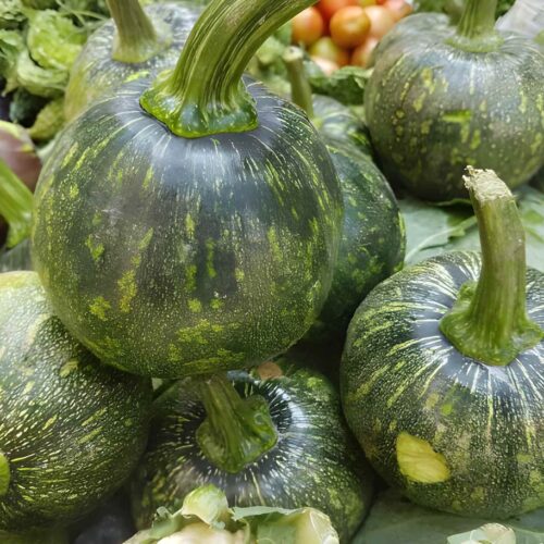 Farsi (Pumpkin) Farsi (Pumpkin)