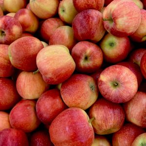 Syau (Apple)