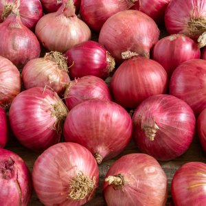 Onions (Red)